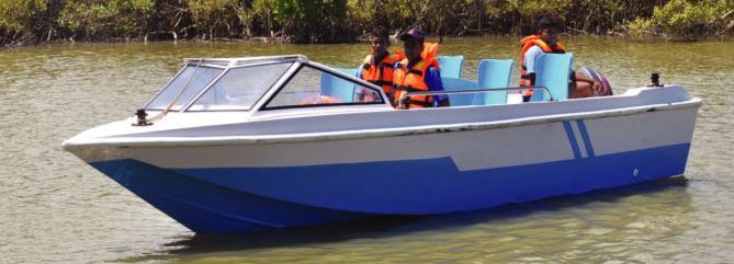 Dolphin Craft