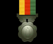 North and East Operations Medal