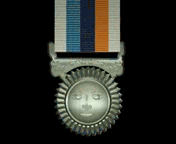 Riviresa Campaign Services Medal