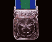 Seva Medal