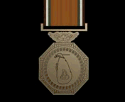 Vadamarachchi Operation Medal