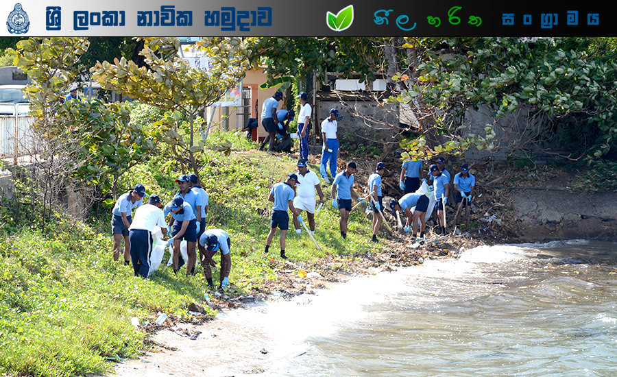 Beach cleaning 8