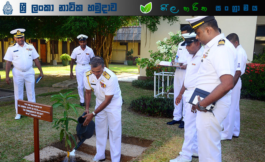  Tree Plantation 1